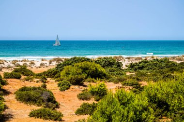 pleasure boats passing in front of La Barrosa beach in Sancti Petri Cadiz