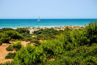 pleasure boats passing in front of La Barrosa beach in Sancti Petri Cadiz