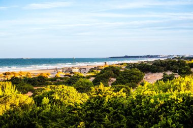La Barrosa plajı, sular çekildiğinde, Sancti Petri, Chiclana de la Frontera, Cadiz, İspanya