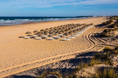 Parasols and hammocks on La Barrosa beach in Sancti Petri, Cadiz, Spain