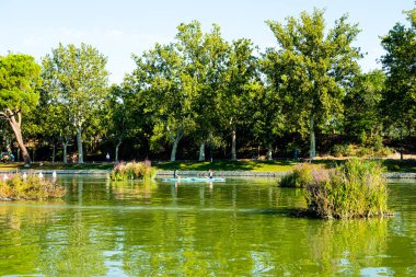 Views of the Madrid Rio park next to the Manzanares river and green vegetation around it