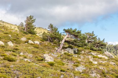 Penalara Glacier Circus and the Penalara Glacial Lagoons, in Madrid's Sierra de Guadarrama.
