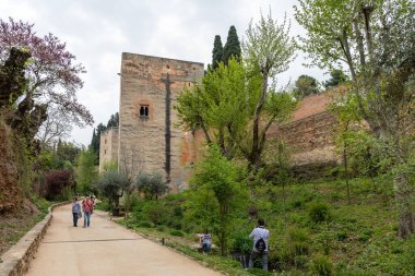 Görünüm ünlü alhambra, granada, İspanya.