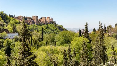 Palace of Alambra, Granada Spain