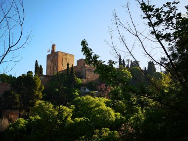 Palace of Alambra, Granada Spain