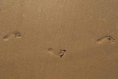 Yazın bir kumsalın kumsal desenine yakın çekim