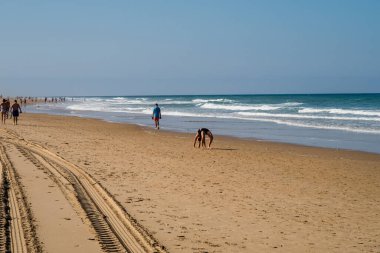 Beach of La Barrosa, Sancti Petri, Cadiz, Spain