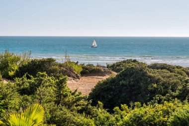 Sancti Petri, Cadiz, İspanya 'daki La Barrosa plajına erişim sağlayan kum tepeleri.