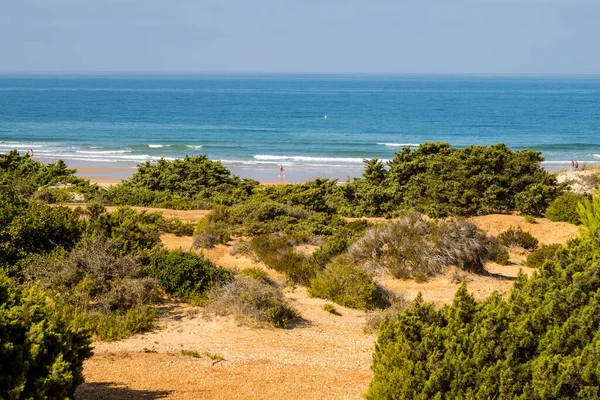 sand dunes that give access to La Barrosa beach in Sancti Petri, Cadiz, Spain