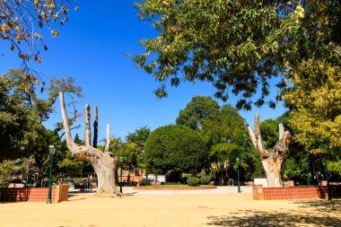 Public park in Talavera called Alameda Park in Talavera de la Reina, Toledo, Spain
