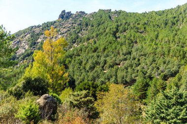 Pedriza Bölgesel Parkı 'ndaki dağları izleyen bir çocuğun panoramik görüntüsü.