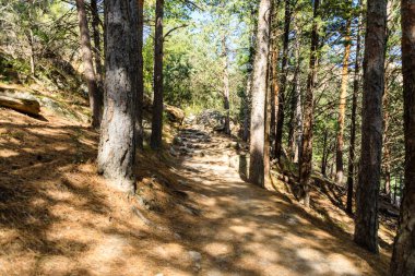 Pedriza Bölgesel Parkı 'ndaki dağları izleyen bir çocuğun panoramik görüntüsü.
