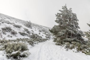 port of Navacerrda in the Sierra de Guadarrama in Madrid