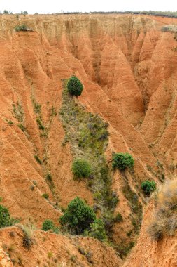 Yüzyıllar boyunca İspanya 'nın Guadalara ve Madrid eyaletleri arasında 