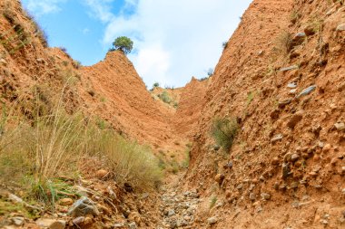 Yüzyıllar boyunca İspanya 'nın Guadalara ve Madrid eyaletleri arasında 