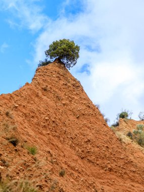 Yüzyıllar boyunca İspanya 'nın Guadalara ve Madrid eyaletleri arasında 