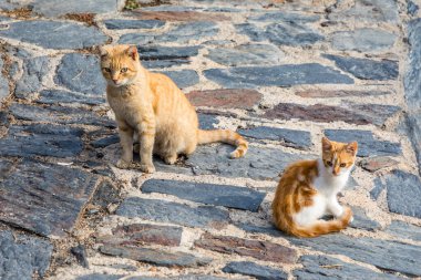 Town houses Patones de Arriba in the province of Madrid, Spain.