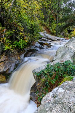 Recreation area between the provinces of Segovia and Madrid known as Boca del Asno