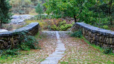 Recreation area between the provinces of Segovia and Madrid known as Boca del Asno