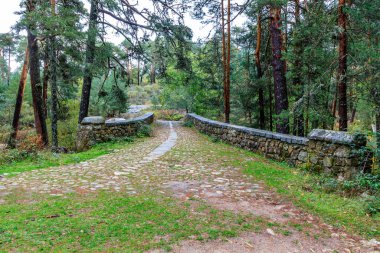Recreation area between the provinces of Segovia and Madrid known as Boca del Asno