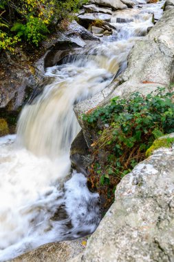 Recreation area between the provinces of Segovia and Madrid known as Boca del Asno
