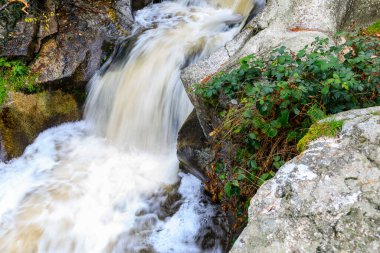 Recreation area between the provinces of Segovia and Madrid known as Boca del Asno