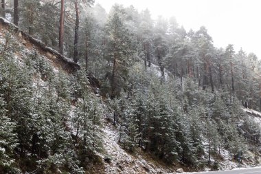 First snow in the mountains of Madrid, in the port of Navacerrada