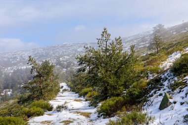 First snow in the mountains of Madrid, in the port of Navacerrada
