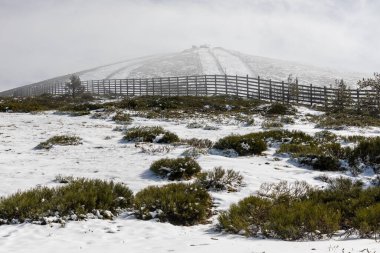 First snow in the mountains of Madrid, in the port of Navacerrada
