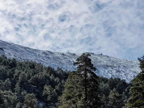 První Sníh Horách Madridu Přístavu Navacerrada — Stock fotografie