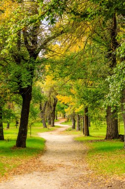 Autumn in Casa de Campo Park in Madrid, Spain
