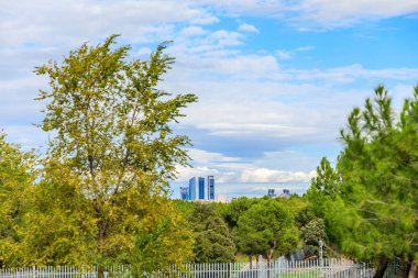 Autumn in Casa de Campo Park in Madrid, Spain