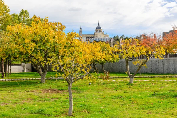 Jesień Casa Campo Park Madrycie Hiszpania — Zdjęcie stockowe