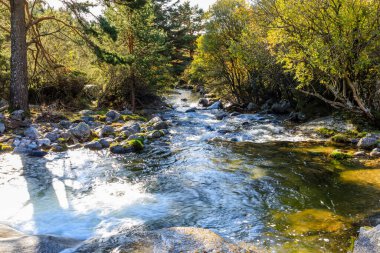 Water torrent of the Manzanares river in the Pedriza area of Madrid
