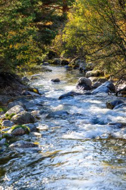 Water torrent of the Manzanares river in the Pedriza area of Madrid