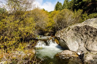 Water torrent of the Manzanares river in the Pedriza area of Madrid