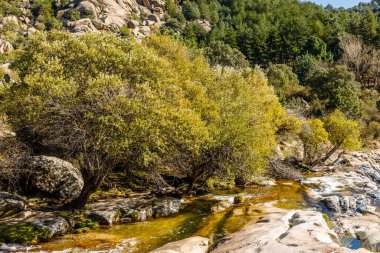 Water torrent of the Manzanares river in the Pedriza area of Madrid