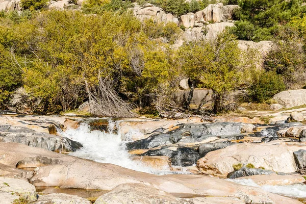 Madrid 'in Pedriza bölgesinde Manzanares Nehri' nin akan suyu.
