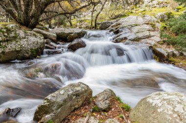 Sierra de Guadarrama 'daki Araf Şelalesi. Lozoya Vadisi Madrid halkı.