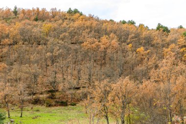 Sierra de Guadarrama 'daki Araf Şelalesi. Lozoya Vadisi Madrid halkı.