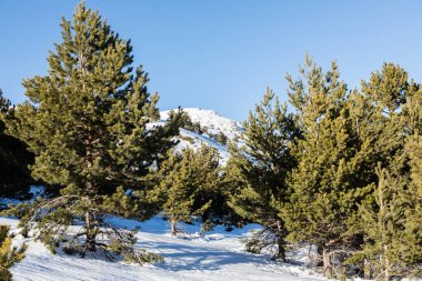 Guadarrama, Madrid 'deki Cotos limanında karlı dağlar