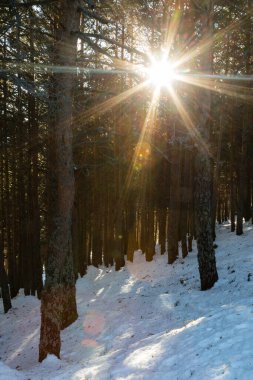 Guadarrama, Madrid 'deki Cotos limanında karlı dağlar