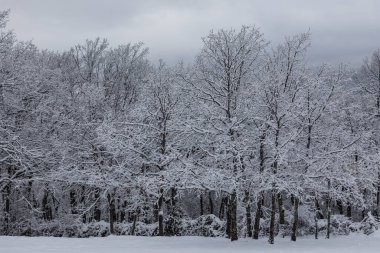 Riaza, Segovia 'daki Hontanares Hermitage' ın etrafı karla kaplı.
