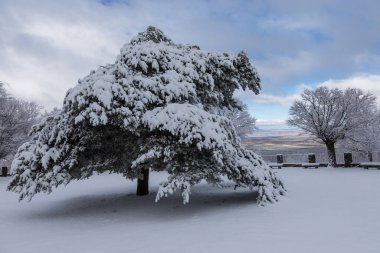 Riaza, Segovia 'daki Hontanares Hermitage' ın etrafı karla kaplı.