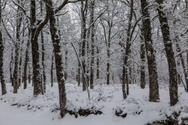 Riaza, Segovia 'daki Hontanares Hermitage' ın etrafı karla kaplı.
