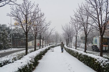 Madrid, İspanya 'daki Aziz Mary Magdalene Rus Ortodoks Katedrali' nin detayları.