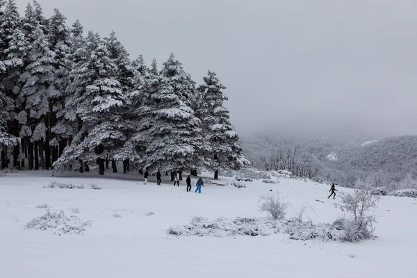 Okolí Poustevny Hontanares Riaza Segovia Zemí Pokrytou Sněhem — Stock fotografie