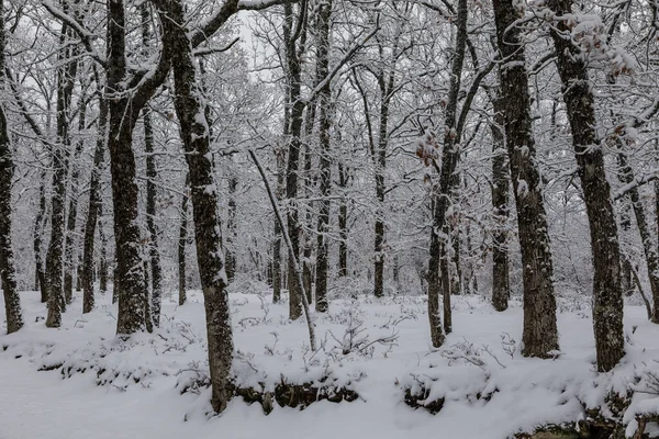 Riaza, Segovia 'daki Hontanares Hermitage' ın etrafı karla kaplı.