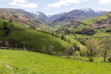 Leitariegos Vadisi, Asturias, İspanya, bahar başında