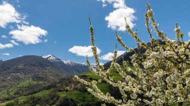 Leitariegos Vadisi, Asturias, İspanya, bahar başında